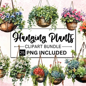 Paquete de 25 imágenes prediseñadas de plantas de acuarela, imágenes prediseñadas de plantas de interior colgantes, plantas de interior en macetas colgantes, imágenes prediseñadas de plantas PNG, álbum de recortes, diario basura,