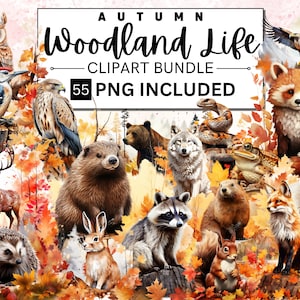 55 Clipart de animais da floresta em aquarela de outono, pacote de clipart de berçário, clipart de floresta, clipart de animais, chá de bebê da floresta, veado urso raposa