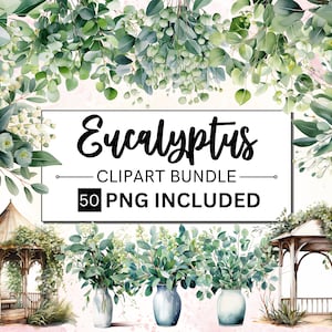 50 Watercolor Eucalyptus Leaves Clipart, Eucalyptus Watercolor Border, Eucalyptus Clipart Bundle, Eucalyptus Shower Greenery Clipart PNG
