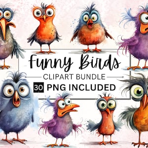 Pacote de clipart de 30 pássaros engraçados, ilustrações peculiares e engraçadas de pássaros, elementos caprichosos, fazenda engraçada, uso comercial, artesanato de papel digital PNG