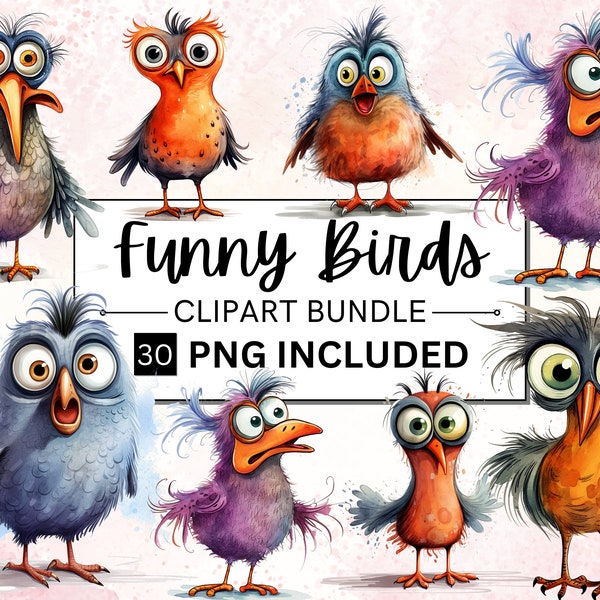 30 Lustiger Vogel Clipart Bundle, schrullig und lustig Vogel Illustrationen, skurrile Elemente, lustiger Bauernhof, kommerzielle Nutzung, PNG digitales Papiermodell