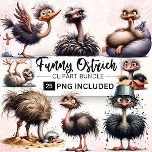 25 Funny Ostrich Birds Clipart Bundle, Quirky Ostrich Sublimation Graphics, Funny Animal PNG, Cartoon Bird, Digital Download Commercial Use
