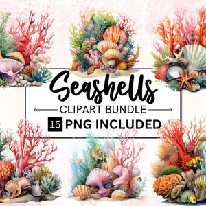 15 imágenes prediseñadas de conchas de acuarela, imágenes prediseñadas de conchas de arrecife de coral, imágenes prediseñadas de playa, paquete de imágenes prediseñadas náuticas, imágenes prediseñadas del océano, álbum de recortes, concha png