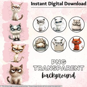 35 Grumpy Cat PNG Clipart Bundle, Grumpy Pet Animal, Grumpy & Quirky ...