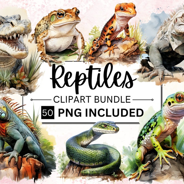 50 Watercolor Reptiles Clipart PNG Bundle, Chameleon, Lizard, Snake, Turtle, Tortoise, Iguana, Animal Illustration Personal & Commercial Use