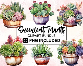 25 Watercolor Succulent Clipart PNG Bundle, Cactus Clipart Desert Agave PNG Aloe Clipart, Greenery Cactus illustration, Commercial Use