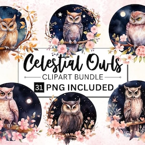 31 Clipart hibou céleste, hibou png, clipart magique, clipart mystique, sorcellerie png clipart, clipart png païen, png païen, hiboux mystiques