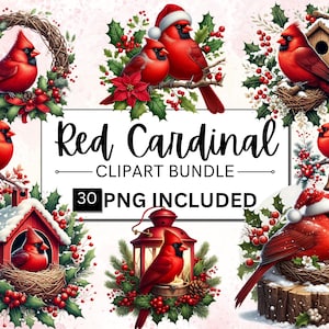30 枚の水彩画の赤いカーディナル クリップアート バンドル、赤いカーディナル クリスマス PNG、鳥 PNG クリップアート、ホリデー クリップアート、クリスマス クリップアート、商用利用