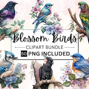 50 Aquarell Vögel Clip Art, bunte Vögel Clipart, Frühling Clipart, Vogel Illustration, süße Vögel & Blüten, Kartenherstellung, Tier Clipart