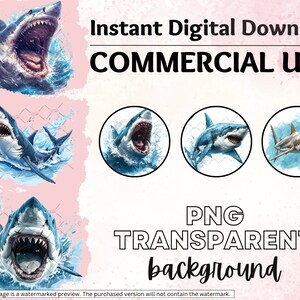 May include: Four digital images of sharks with a white background. The images are for commercial use and have a transparent background. The text "Instant Digital Download" and "COMMERCIAL USE" are at the top of the image. The text "PNG TRANSPARENT background" is at the bottom of the image.