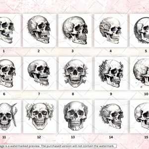 May include: A set of 15 black and white skull illustrations. Each skull is drawn in a different style, with some featuring intricate details like flowers, vines, and other decorative elements.