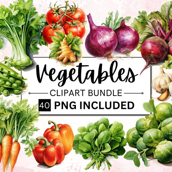 40 Watercolor Vegetables PNG Clipart Bundle, Tomato, Carrot, Corn, Painted Vegetable Illustrations, Farm Vegetables Clipart | Commercial Use