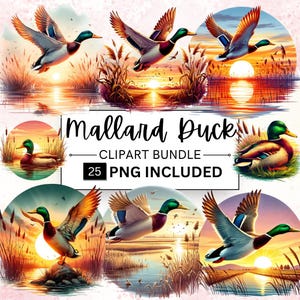 Paquete de 25 imágenes prediseñadas de pato real, PNG de pato salvaje, pato volador al atardecer, sublimación de temporada de caza, descarga instantánea, diario basura, álbum de recortes