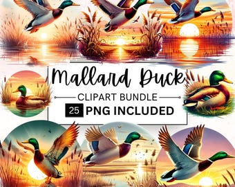 25 Watercolor Mallard Duckling Clipart Bundle, Duckling Mallard PNG, Mallard Duck Clipart, Duckling Clipart, Watercolor Duck Clipart PNG