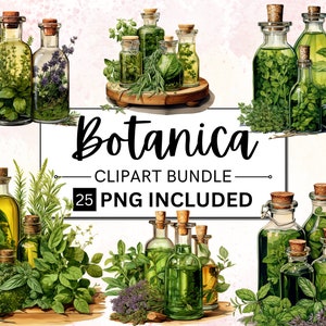 25 Watercolor Botanica Herbs and Bottles Clipart, Medicinal Herbs, Culinary Herbs, Herbal clipart, Herbs Clipart, Kitchen Decor, Cottagecore