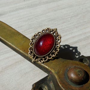 Gotische vampier ring; Bronzen band en betoverende bloedrode steen. Victoriaanse ring met Steampunk twist en bold Dark Academia vibe