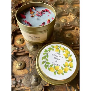 Soy Candle Vanilla Bean Aroma, Hand-Poured Soy Candle, Aromatherapy Soy Candle, Soy Candle with Fragrance, Handmade Soy Candle