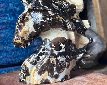 Picture Jasper unicorn.