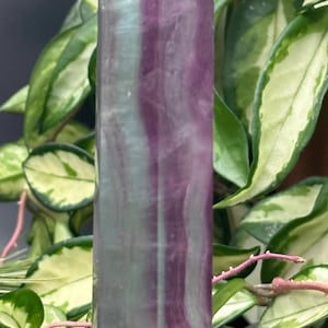 Candy fluorite green and purple fluorite