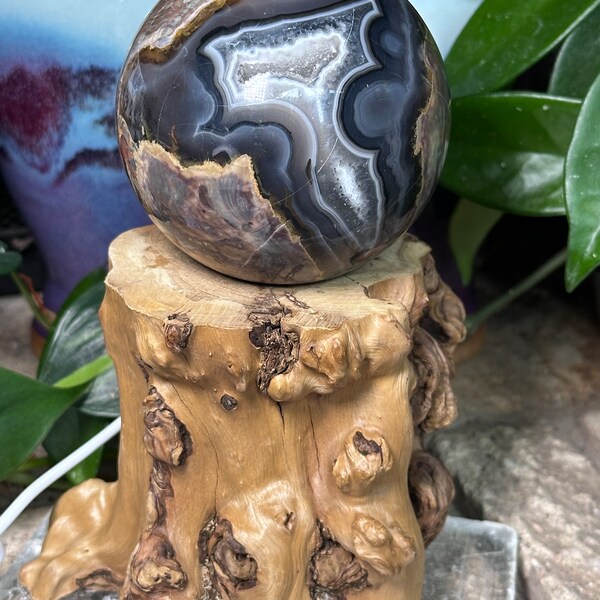 Tree stump sphere holder light base. Sphere stand