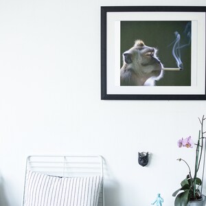 Peut inclure: Une photographie en noir et blanc encadrée d'un singe fumant une cigarette. Le singe regarde vers la droite et a les yeux fermés. L'arrière-plan est vert flou.
