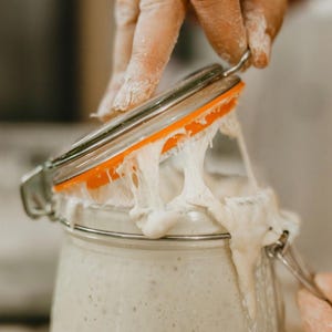 Beginner Sourdough Starter Kit with Starter Flakes, Recipe Guide, and Jar Cover bild 3