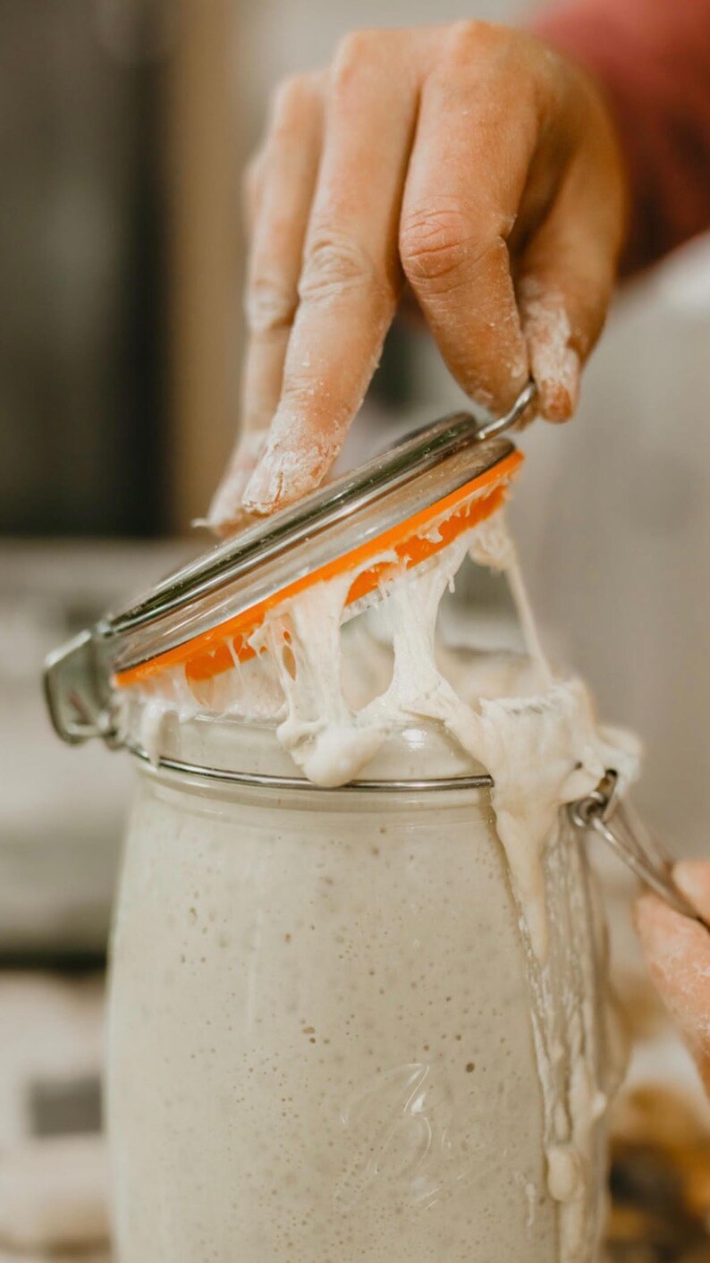 Beginner Sourdough Starter Kit with Starter Flakes, Recipe Guide, and Jar Cover bild 3