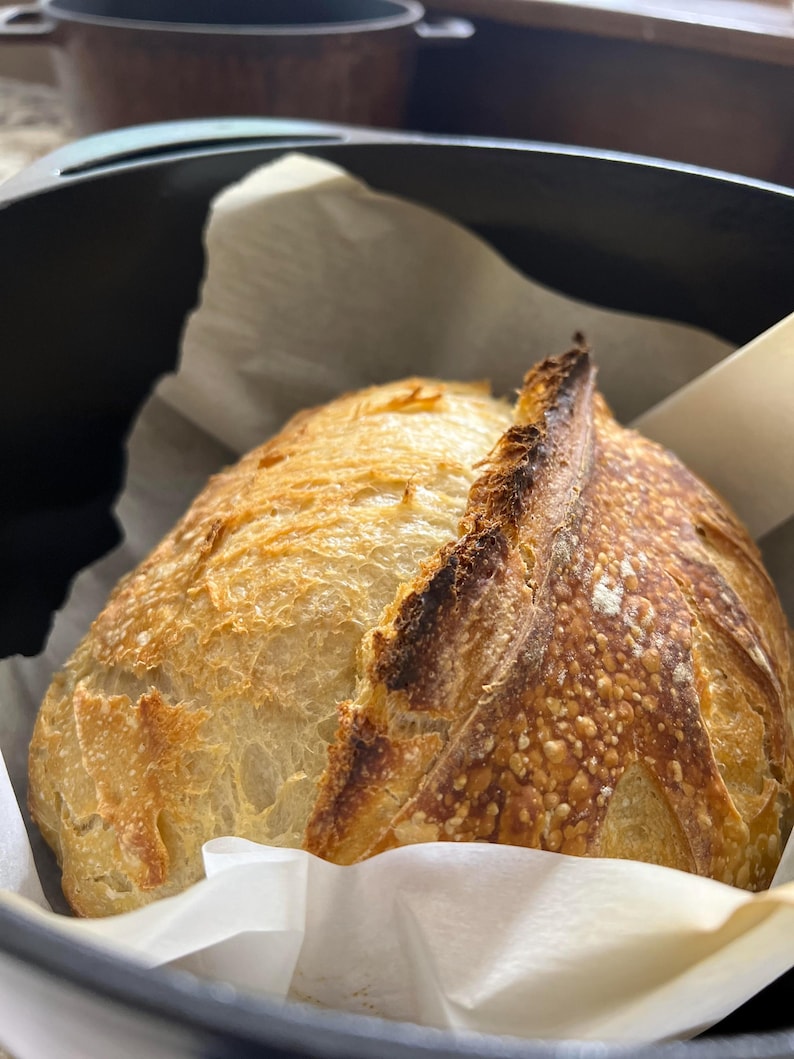 Beginner Sourdough Starter Kit with Starter Flakes, Recipe Guide, and Jar Cover bild 5