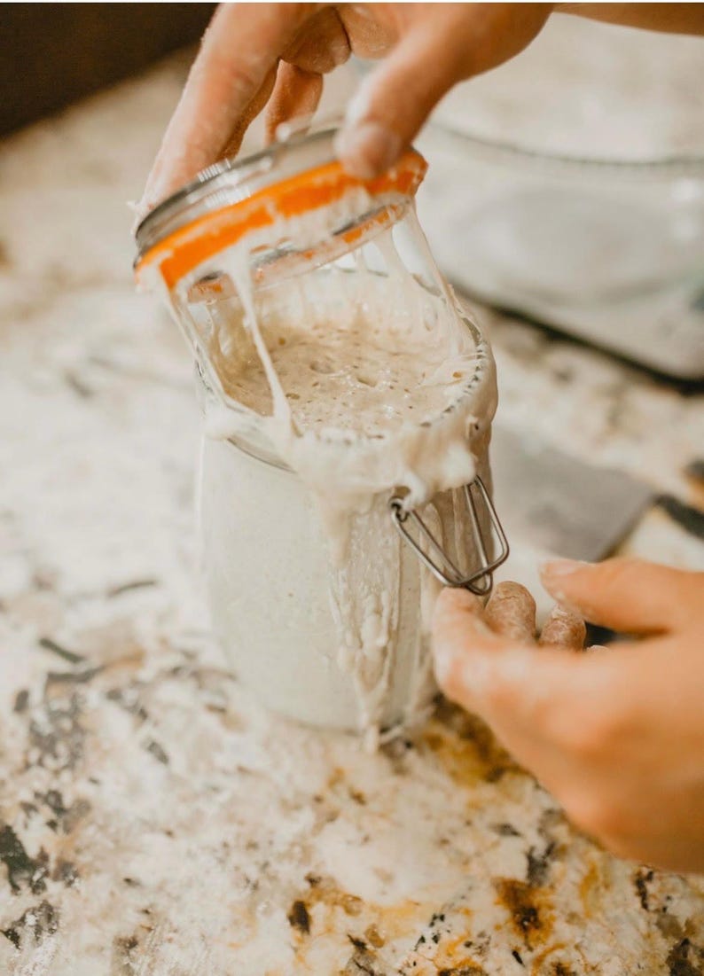 Beginner Sourdough Starter Kit with Starter Flakes, Recipe Guide, and Jar Cover bild 7