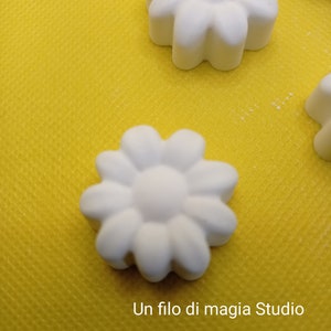 Gessetti fiore (set di 10 pezzi)