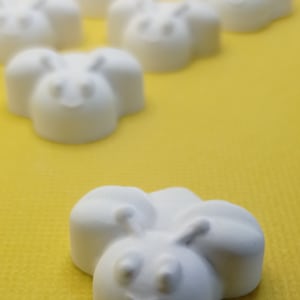 Scented Bee Chalks (Set of 10)