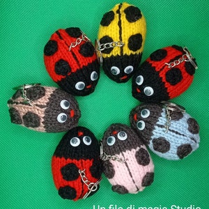 coccinelle portafortuna