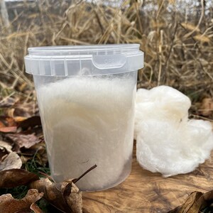 Cotton Candy - Made with Pure NY Maple Granulated Sugar image 4