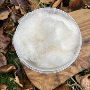 Cotton Candy - Made with Pure NY Maple Granulated Sugar image 3