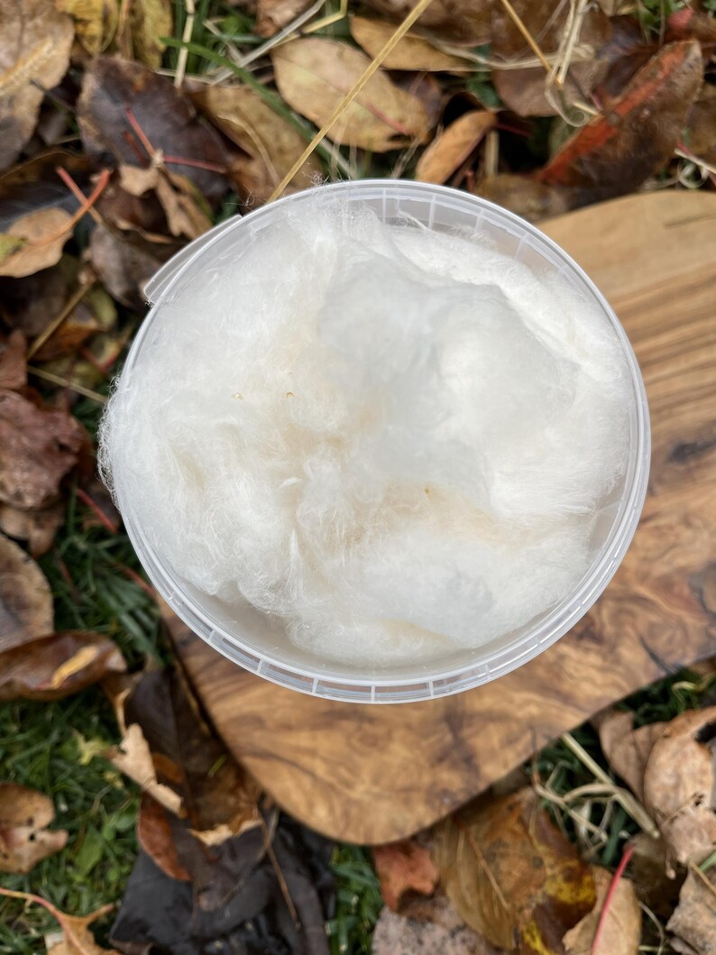 Cotton Candy - Made with Pure NY Maple Granulated Sugar image 3