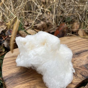 Cotton Candy - Made with Pure NY Maple Granulated Sugar image 7