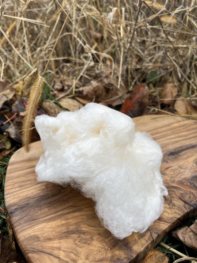 Cotton Candy - Made with Pure NY Maple Granulated Sugar image 7