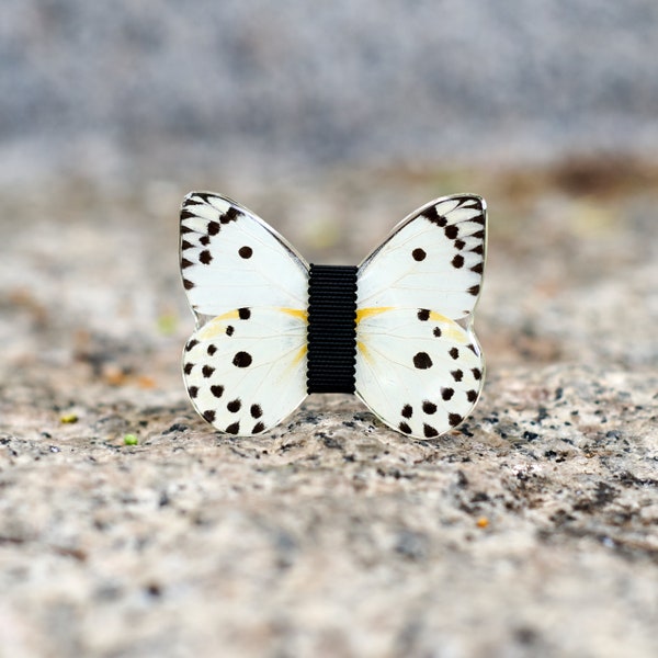 Broche papillon - Le Papageno