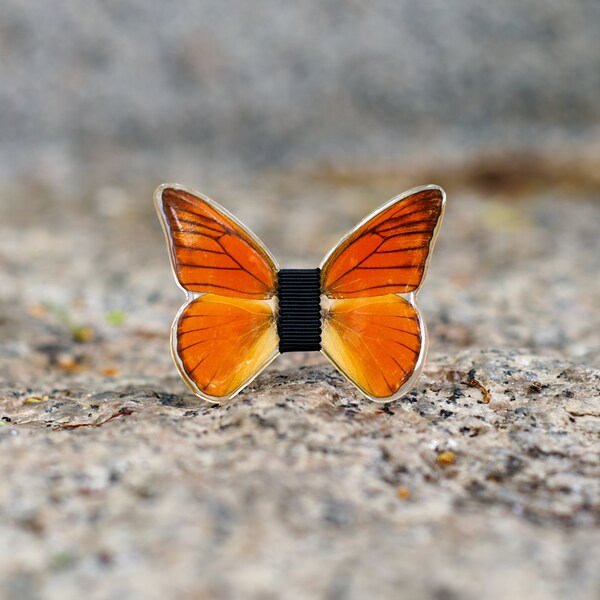 Broche papillon - La Forza Del Destino