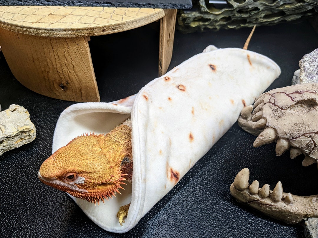 Fred & Friends Howligans Exotic PET Blanket - Bed Bath & Beyond - 40108137