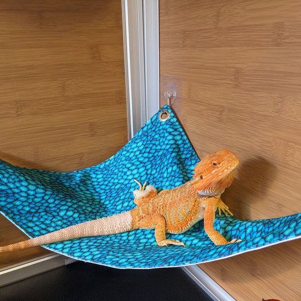 Bearded Dragon Gifts 60+ Gift Ideas for 2024