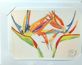Tarjeta para cualquier ocasión, acuarela original de 5 x 7 pulgadas, Aves del Paraíso, con sobre