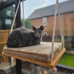 Cat windows shelf, cat window shelf, cat window bed from natural wood, cotton ropes and soft foam and luxury fleece pillow