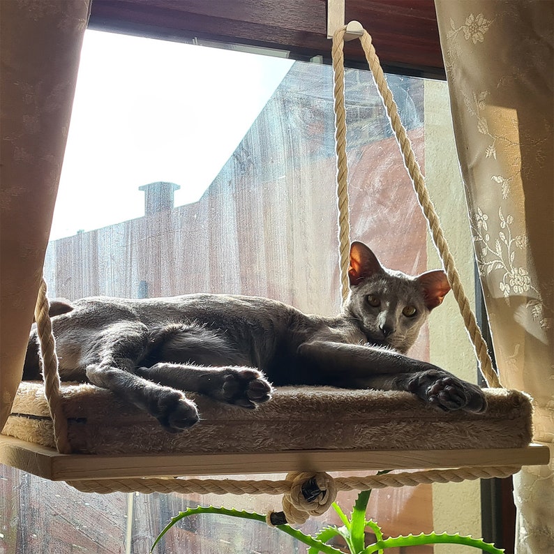 Cat Windows Shelf, Cat Window Shelf, Cat Window Bed From Natural Wood