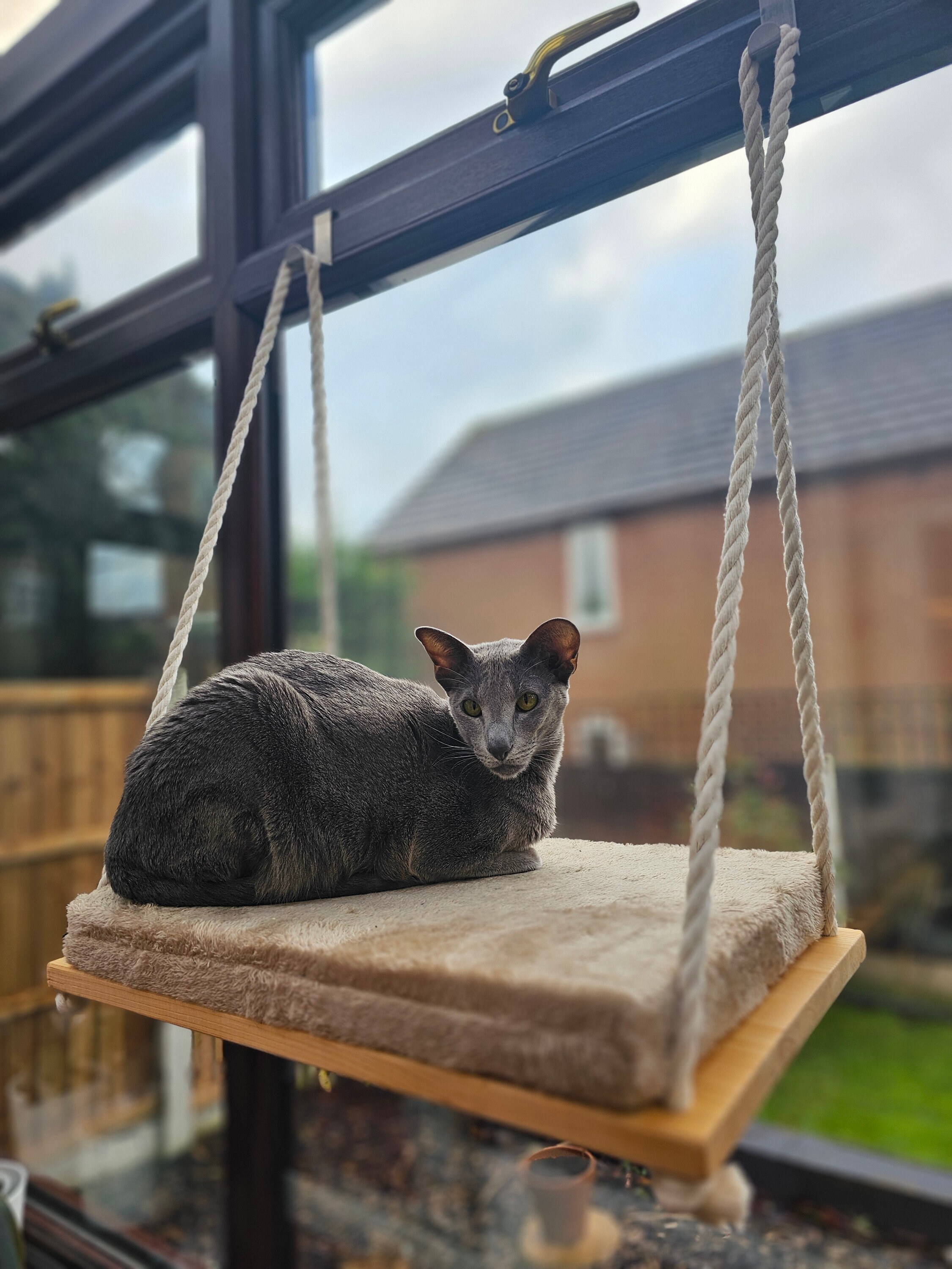 Cat Windows Shelf, Cat Window Shelf, Cat Window Bed From Natural Wood