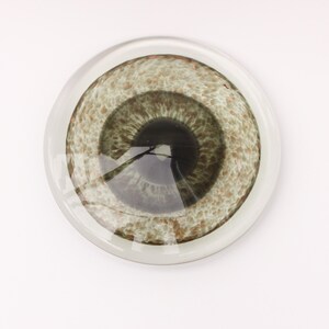 Glass Eye Studio Paperweight Sun - Etsy