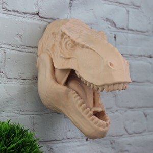 MEDIUM Detailed Tyrannosaurus Rex Wall Head Modern Decor
