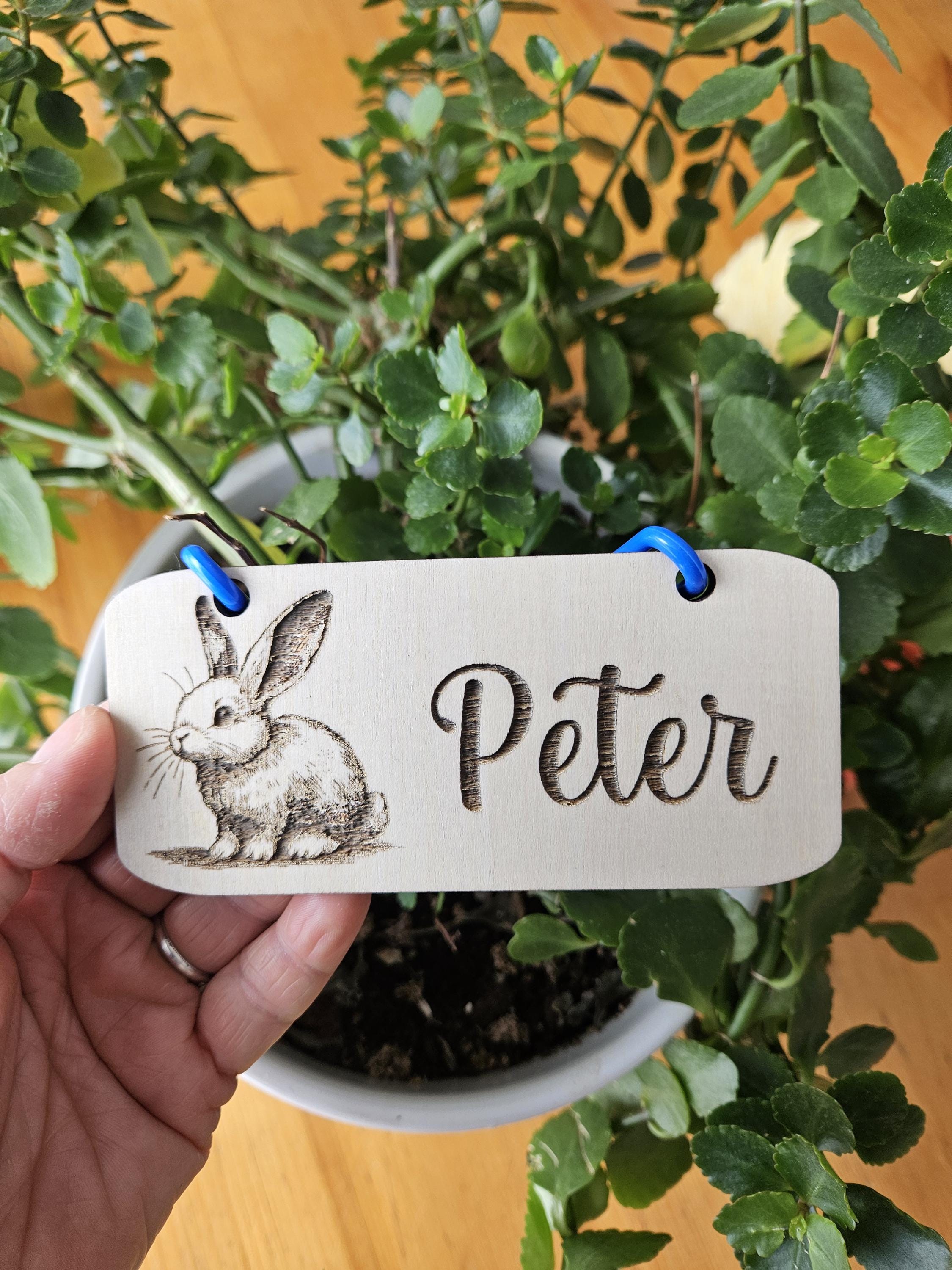 Rabbit Cage Sign, Rabbit Cage Accessories, Bunny Name Sign, Rabbit Cage ...