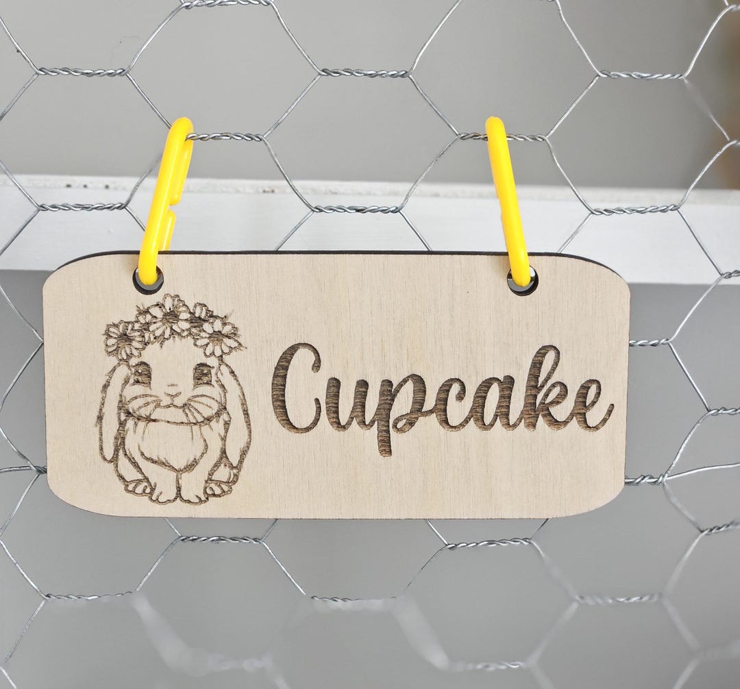 Rabbit Cage Sign, Rabbit Cage Accessories, Bunny Name Sign, Rabbit Cage ...