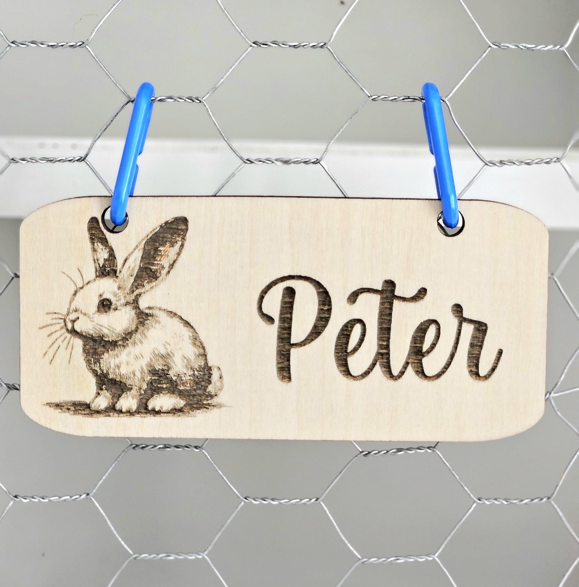 Rabbit Cage Sign, Rabbit Cage Accessories, Bunny Name Sign, Rabbit Cage ...